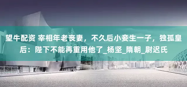 望牛配资 宰相年老丧妻，不久后小妾生一子，独孤皇后：陛下不能再重用他了_杨坚_隋朝_尉迟氏