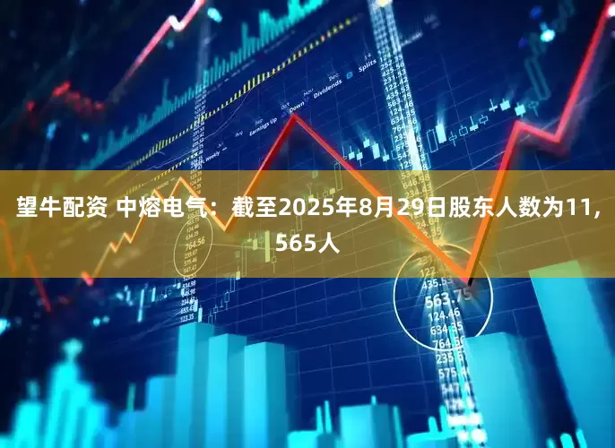 望牛配资 中熔电气：截至2025年8月29日股东人数为11,565人
